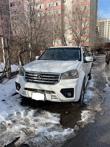 Great Wall: Great Wall Wingle: 2017 г., 2.4 л, Механика, Бензин, Пикап — 1