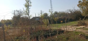 Torpaq sahələrinin satışı: 13 sot, Tikinti, Mülkiyyətçi, Kupça (Çıxarış) — 3