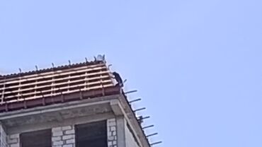 Кровля крыши: Кровля крыши | Гидроизоляция, Демонтаж, Ремонт Больше 6 лет опыта at lalafo.kg — 19 Кровля крыши: Кровля крыши | Гидроизоляция, Демонтаж, Ремонт Больше 6 лет опыта — 19