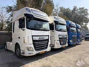xf: Тягач, DAF, 2020 г., Без прицепа — 5