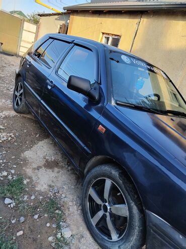 двери на гольф2: Volkswagen Golf: 1992 г., 1.8 л, Механика, Бензин, Хэтчбэк