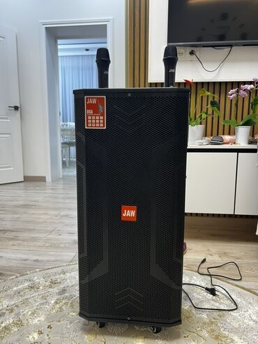 караоке домашний: Портативная акустическая система JAW J8S (карачная колонка на колесах)
