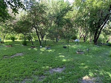 черная речка: 🌿 Продаётся уютная дача — 35 км от шлагбаума. Участок 25 соток в — 5