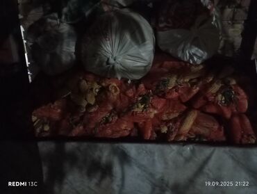 обучение собак: Кукуруза в початках, фасованная в сетки - Кормовая кукуруза (початки)