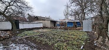 Продажа коттеджей и домов: Продается частный дом с приусадебным участком. - Участок: ровный — 3