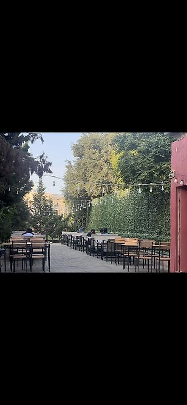 Коммерческая недвижимость: Lounge/kafelounge məkanı – rahat interyer və qonaqlama üçün tam — 5
