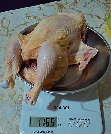 arpa toxumu satışı: Kənd toyuğu Toyuq Bütöv — 1