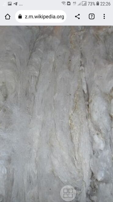 Yun: Yun satişi satışda yuyulmuş şamaxı yunu var qiymətlər keyfiyyətə — 17