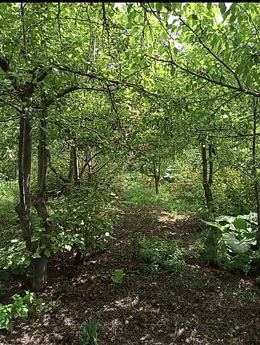 Продажа коттеджей и домов: Продаётся частный дом с участком. - Один основной дом с мансардным — 8