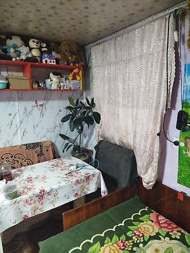 Дома: Срочно продаётся дом с двумя участками,на участке имеется молодой — 2
