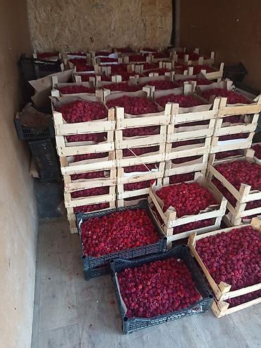 Продажа участков: 200 соток, Для бизнеса, Договор купли-продажи at lalafo.kg — 4 Продажа участков: 200 соток, Для бизнеса, Договор купли-продажи — 4