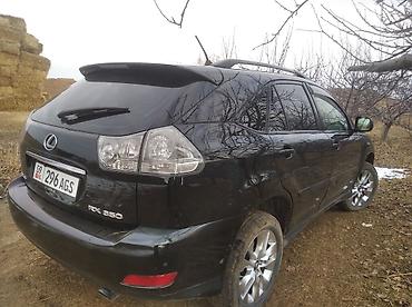 Lexus: Lexus RX: 2005 г., Кроссовер — 2