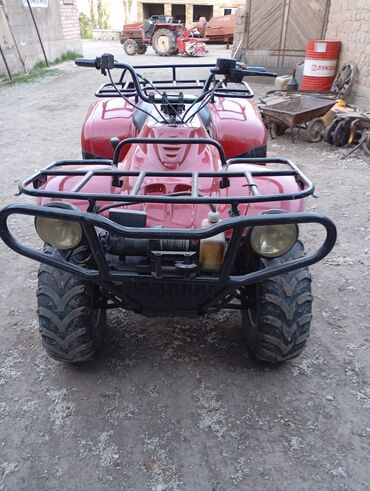 Квадроциклы: Квадроцикл Honda, Бензин, 350 куб. см, Взрослый
