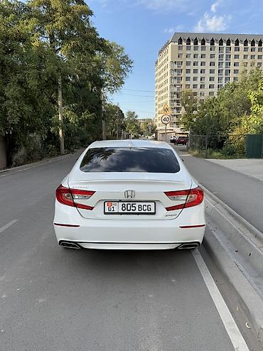 солярка цена бишкек: Honda Accord: 2019 г., 1.5 л, Автомат, Бензин, Седан — 4