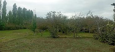 bir mərtəbəli ev proyektləri: 4 otaqlı, 60 kv. m, Kredit yoxdur, Orta təmir — 9