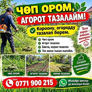 огород уборка: Уборка территории, Уборка двора и сада — 1