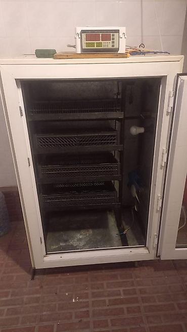 Сельскохозяйственное оборудование: Yumurta inkubatoru – şkaf tipli, şüşə qapılı Məhsul təsviri: - Şkaf — 5