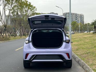 BYD: BYD Dolphin: 2022 г., Автомат, Электромобиль, Универсал — 4