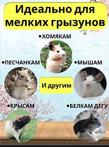 Крысы: Гамаки подвесные для крыс, хомячков, мышей, песчанок, морских свинок — 7