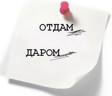 отдом даром: Отдам даром детские вещи, обувь
 1 большой пакет