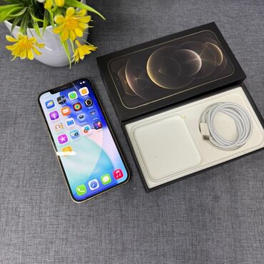 ipad mini 3: IPhone 12 Pro, Qızılı, Face ID