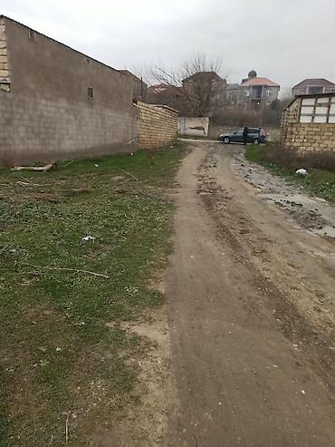 hovsanda heyet evler: 2 sot, Kənd təsərrüfatı, Makler, Kupça (Çıxarış) — 7