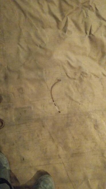 Тенты: Универсальный тент, Брезент, Влагонепроницаемые — 4