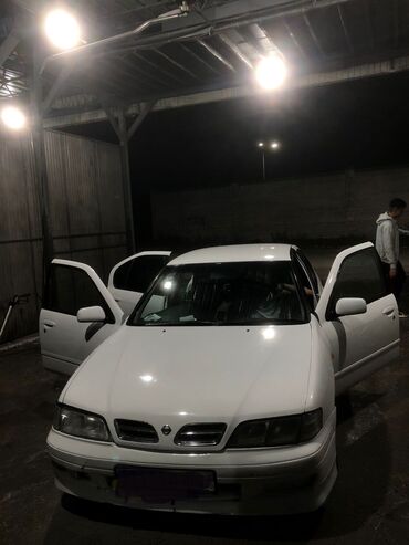 спортивный автомобиль: Nissan Primera: 1999 г., 2 л, Механика, Бензин, Седан