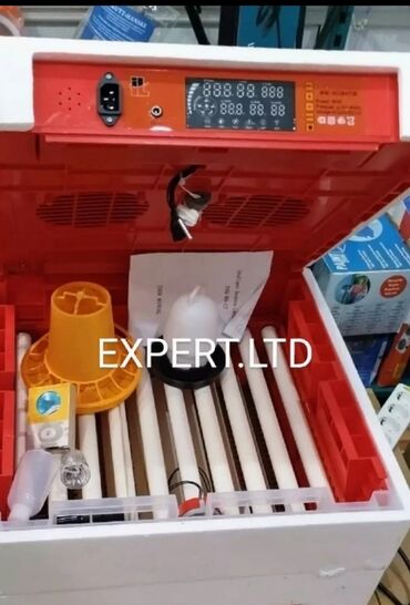 Heyvanlar üçün digər mallar: Smart-rejimli inkubatorlar satılır. İnkubatorlar tam avtomat,təmiz — 2