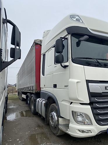 Тягачи: Тягач, DAF, 2019 г. — 3