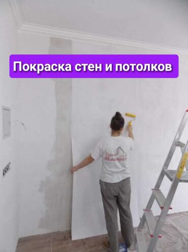 Покраска: Покраска стен, На водной основе, 3-5 лет опыта
