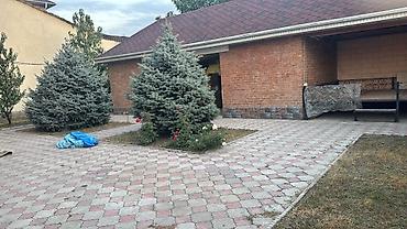 Долгосрочная аренда домов: 380 м², 8 комнат, Забор, огорожен at lalafo.kg — 20 Долгосрочная аренда домов: 380 м², 8 комнат, Забор, огорожен — 20