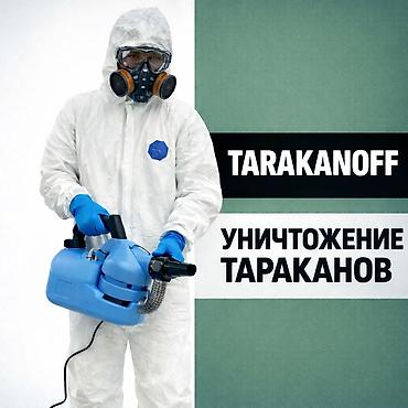 Дезинфекция, дезинсекция: Дезинфекция, дезинсекция, | Тараканы, | Транспорт, Офисы, Квартиры — 1