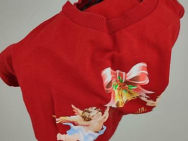 sweter autograph: H&M Divided, Bluza damska
, rozmiar XS — 6