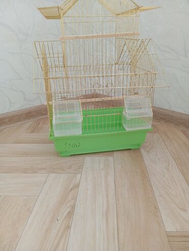 голубиный помет цена: Продадим клетку цена:1000 сом Внутри есть:Жердочки(сами пилили) поилки
