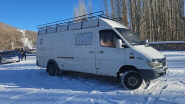 Mercedes-Benz: Mercedes-Benz Sprinter: 2001 г., 2.9 л, Механика, Дизель, Бус