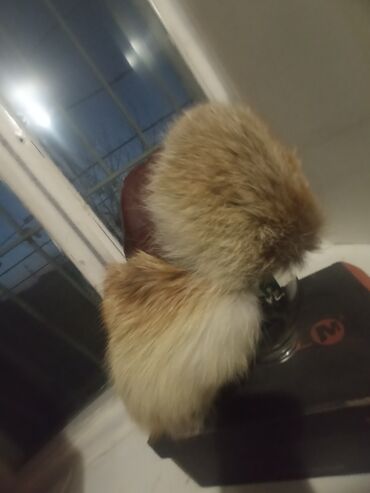 Шапки: Шапка, Ушанка, Натуральная кожа, Зима, С помпоном — 9