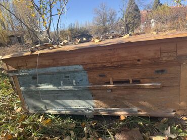 токмок шкаф: Жыгач Ящик, Колдонулган