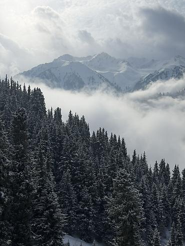 Долгосрочная аренда домов: (Можно рассмотреть варианты на долгосрочную аренду от 3 месяцев и — 4