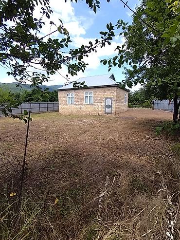 Həyət evləri və villaların satışı: İsmayıllı rayon Maçaxı kəndində 10sot həyətyanı sahəsi olan 1 — 15