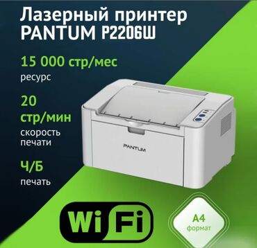 Плойки и щипцы: Принтер лазерный черно-белый Pantum P2206W Принтер Лазерный Pantum