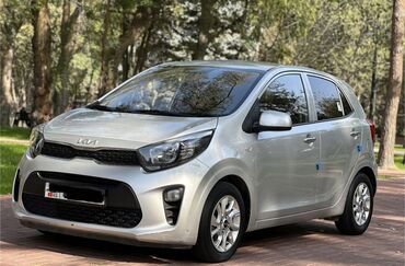 какие машины входят в комфорт яндекс такси в бишкеке: Kia Morning: 2019 г., 1 л, Автомат, Бензин, Хэтчбэк