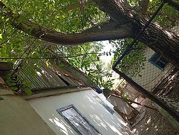 Продажа коттеджей и домов: Продаем дом 🏠 с двумя участками земли. Две красные книги. ✓Торг  — 12