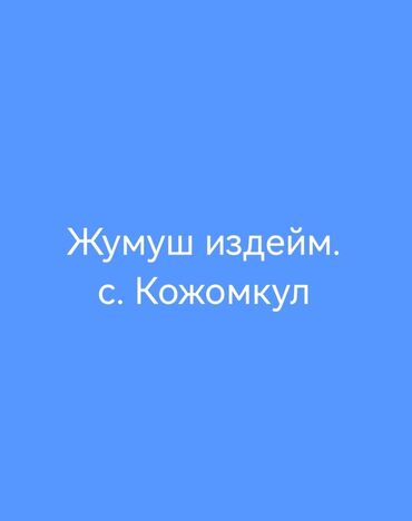 Продавцы-консультанты: Жумуш издейм, Военно-Антоновка
Упаковка📦