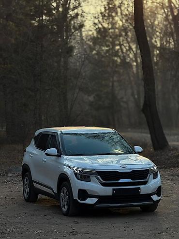 Kia: Kia Seltos: 2020 г., 1.6 л, Автомат, Бензин, Кроссовер — 19