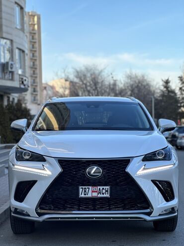 белый лексус: Lexus NX: 2018 г., 2 л, Автомат, Бензин, Кроссовер