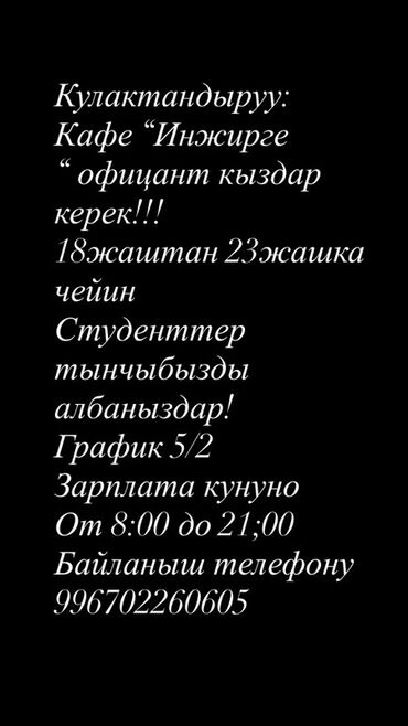 официанты работа: Требуется Официант Без опыта, Оплата Ежедневно