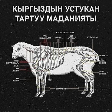 Үй жана бакча үчүн бардык: Касапчы Бишкек шаар ичи жана сырты уй жылкы кой топоз ж.б сойуп — 2