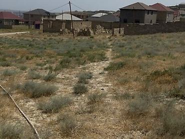 bakıda torpaq: TORPAQ ALIRAM Fatmeyidə,Pirşağı-Mehdiabad yolunda,305 saylı — 3