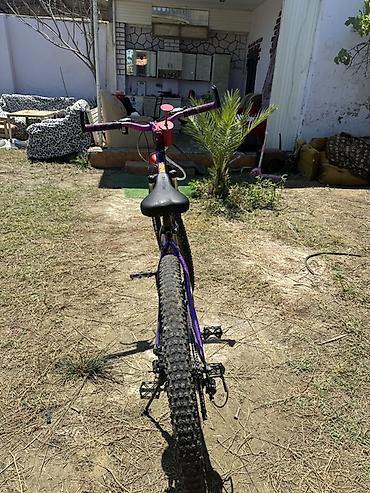 stark velo: Velone dağ velosipedi 29 Ölçü - Rəng: bənövşəyi-qara naqişli gövdə — 1
